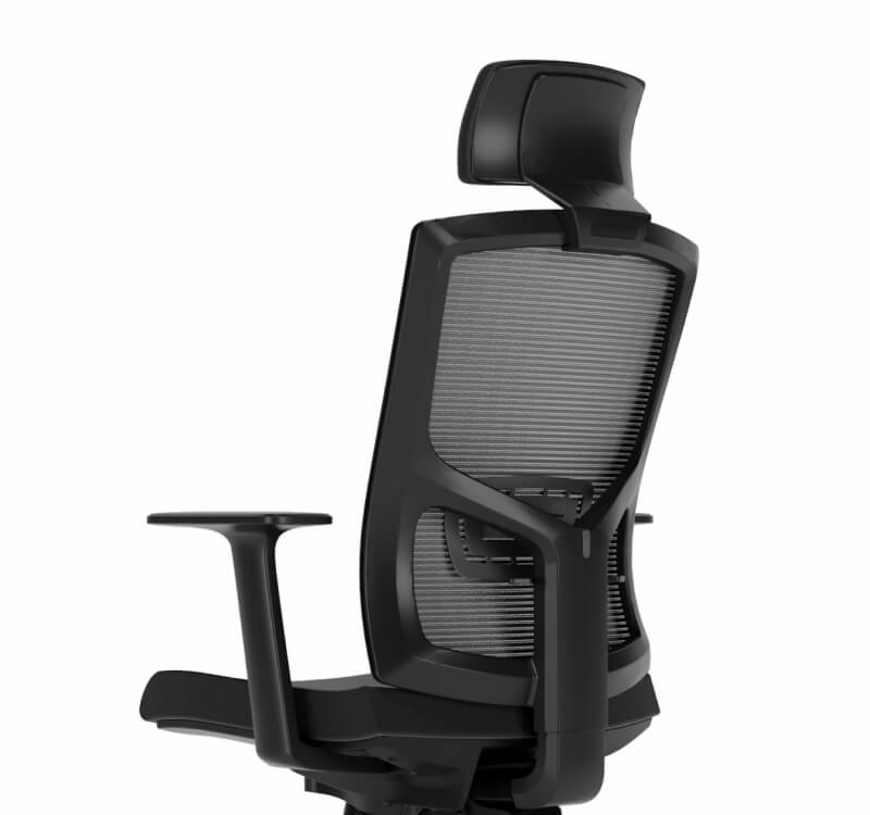 Newman Ergonomic Chair